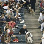 Chicago White Sox gewinnen Weltrekord mit 1122 Hunden
